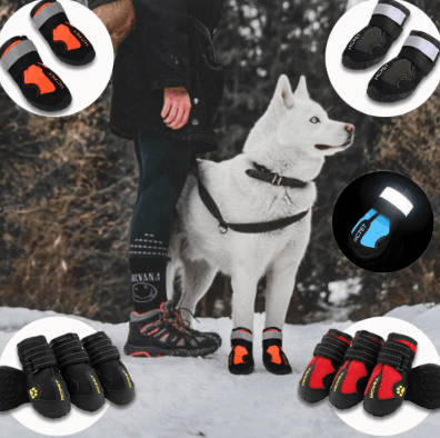 Waterproof Reflective Dog Boots - HotEcomm